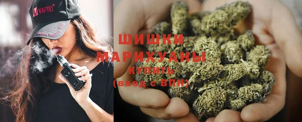 сатива Абаза